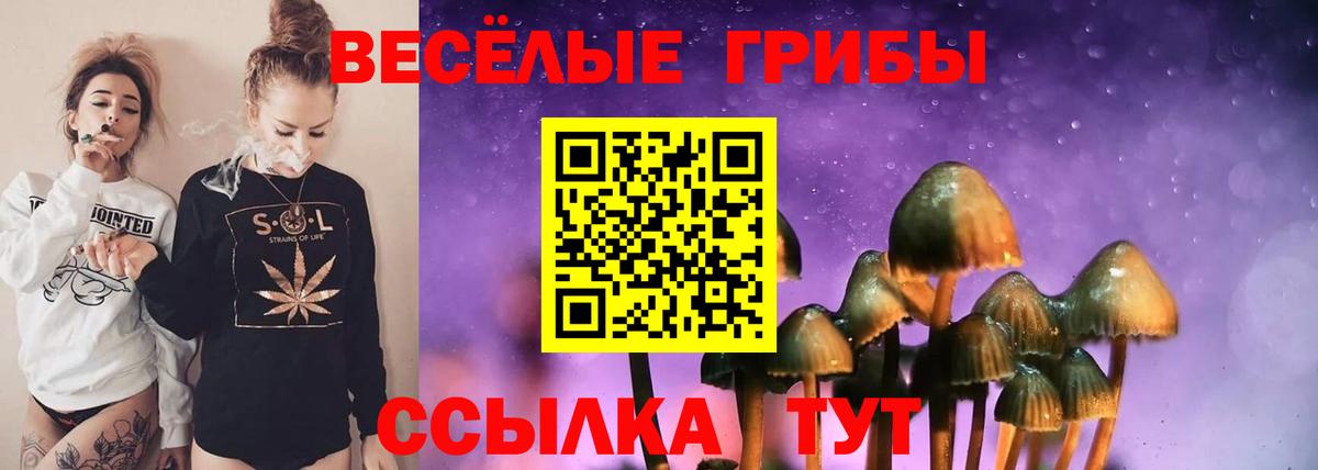 Мурино  Псилоцибиновые грибы Psilocybine cubensis  Вход с VPN 